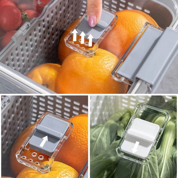 Fresh Produce Containers